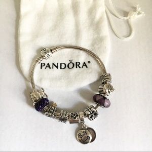 Pandora Bracelet + 10 Charms